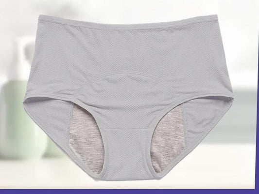 Pack Of 4 High-Waist Leak Proof Panty for women