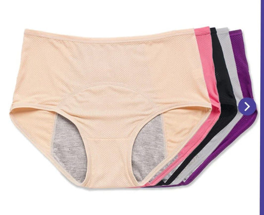 Pack Of 4 High-Waist Leak Proof Panty for women